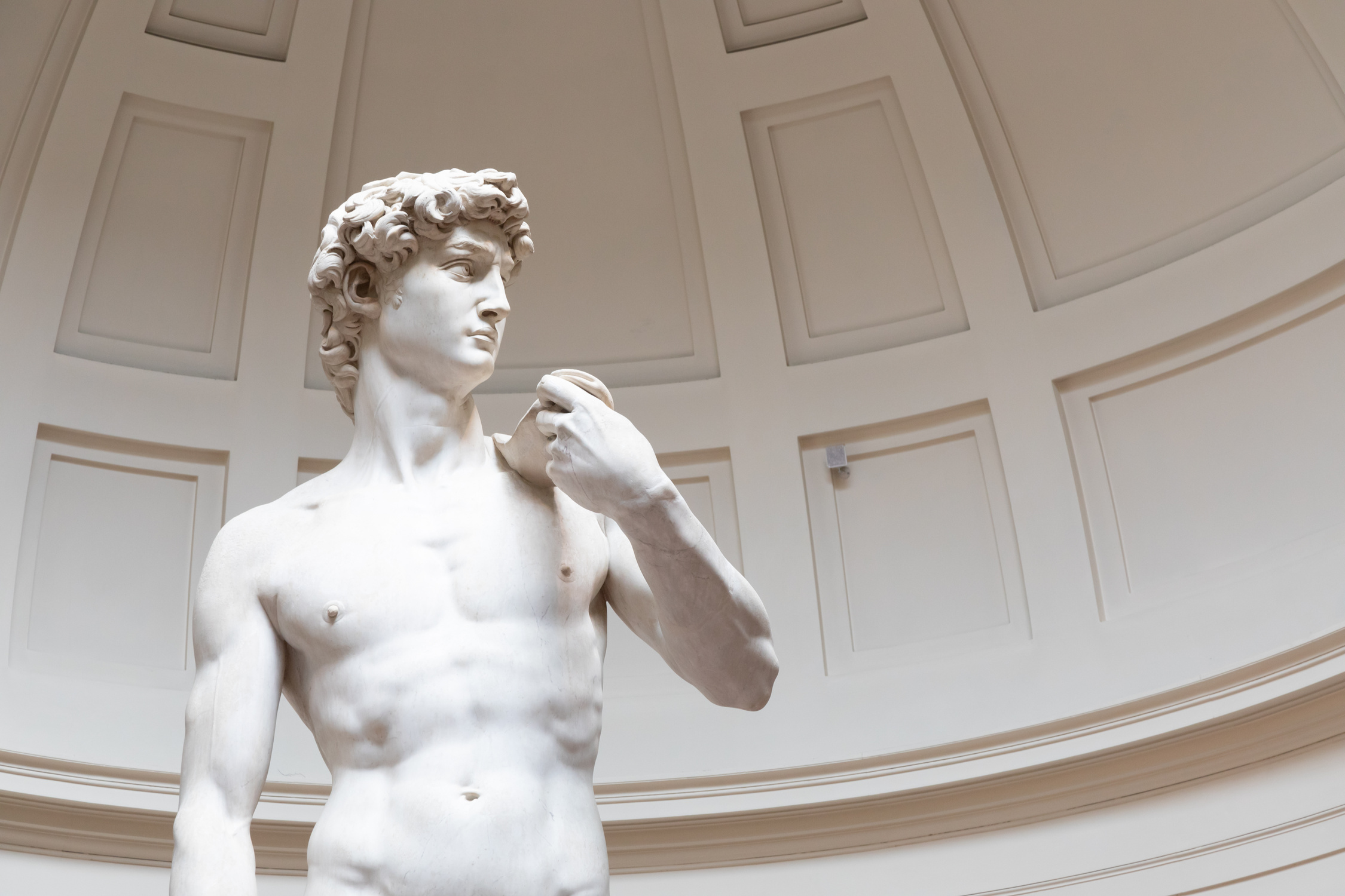 David Sculpture by Michelangelo Buonarroti - 1501. the Masterpie